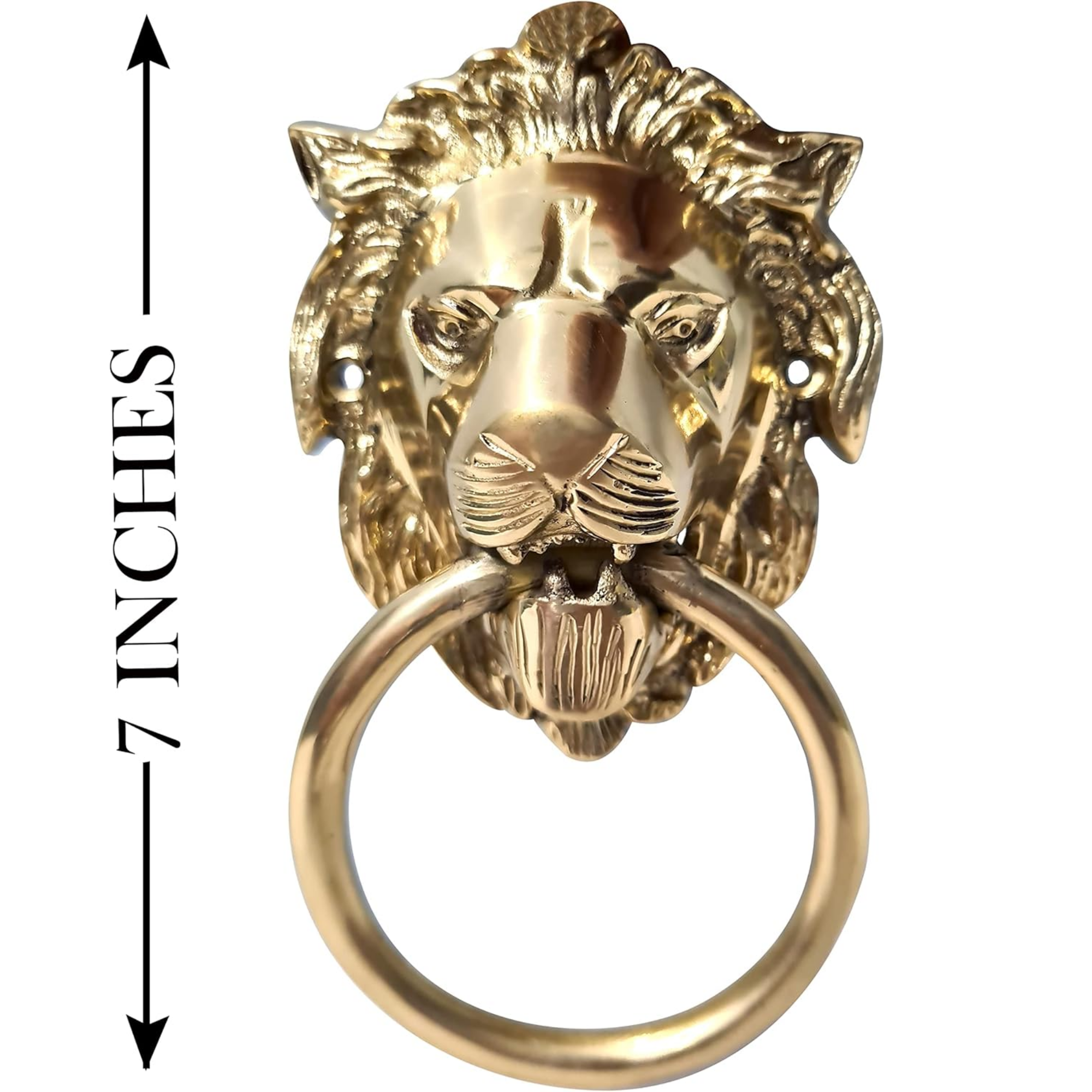 Vintage Brass Lion Door Knocker - Authentic Gate Handle Pull Home Decor