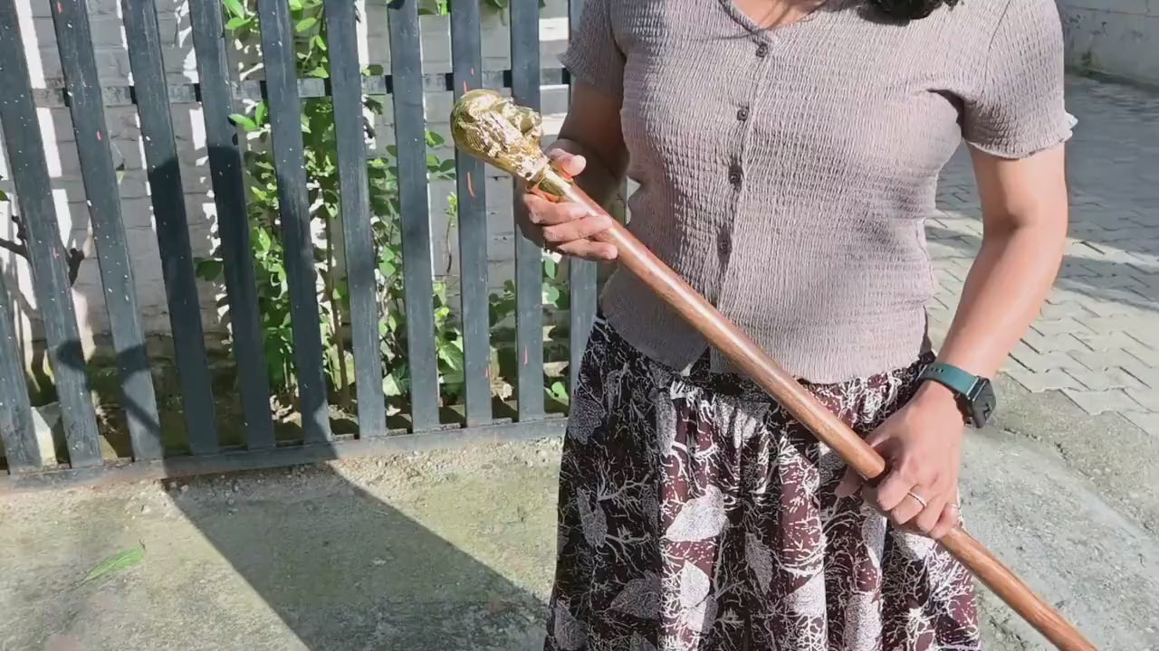 Brass Lion Head Walking Cane - Royal Style Wooden Walking Stick Vintage